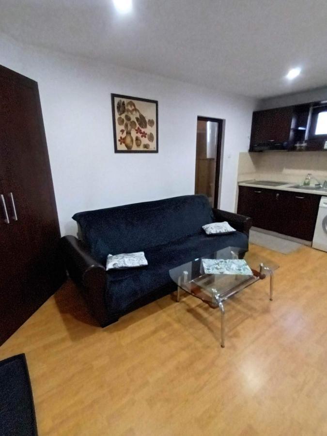 Apartament Relax Apartment Calimanesti Exterior photo
